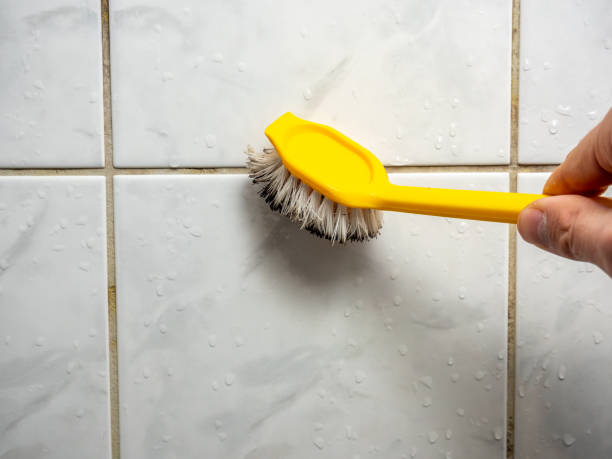 Best Same-Day Mold Removal  in Midway, GA