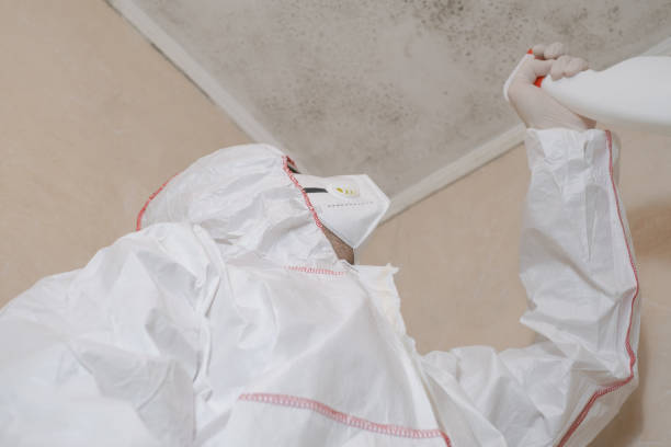 Best Mold Testing  in Midway, GA