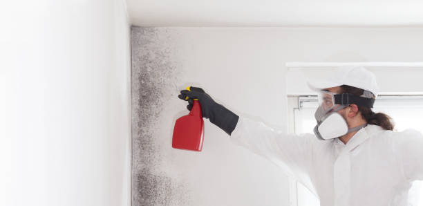 Best Home Mold Removal  in Midway, GA